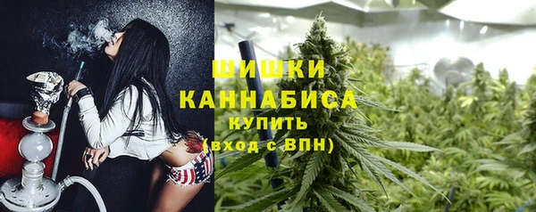 сатива Балабаново