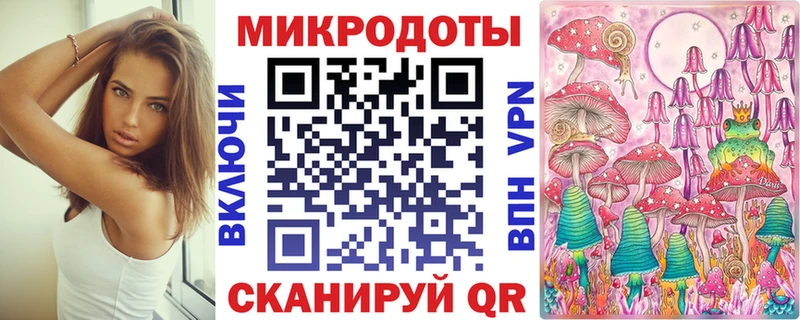 Псилоцибиновые грибы Psilocybe  дарнет шоп  ОМГ ОМГ онион  Змеиногорск 